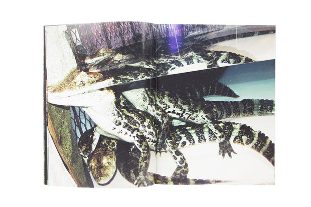 Record no.20 (signed)