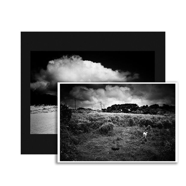 With Print – Photobookstore