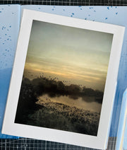 Starlings (special edition)