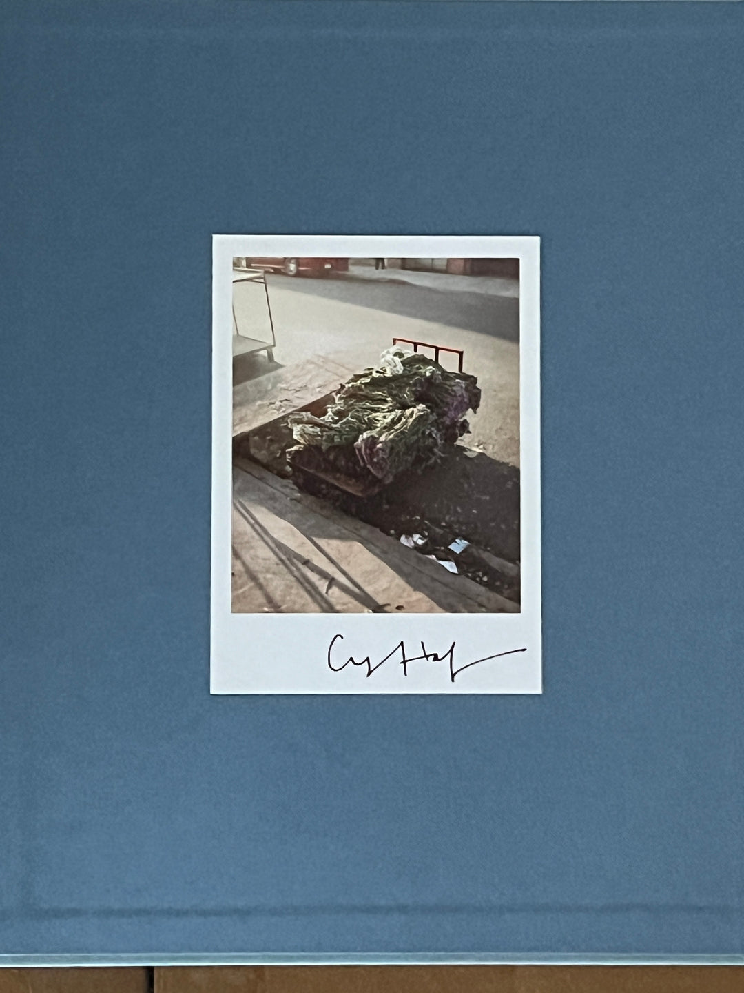 洋書 the promise of photography 洋書 the promise of photography Amazon.com: William Henry