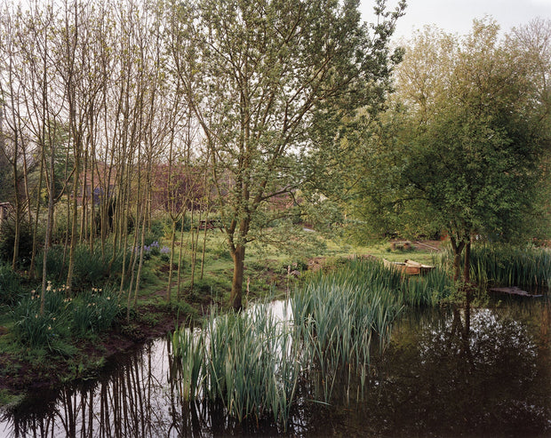 The Pond at Upton Pyne (signed)