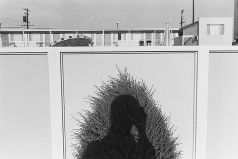 Lee Friedlander