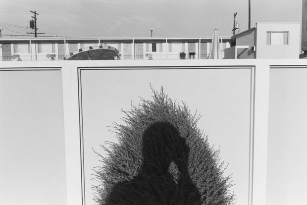 Lee Friedlander (imperfect)