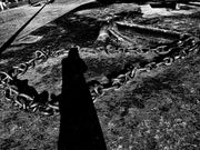 Record no.37 (signed)