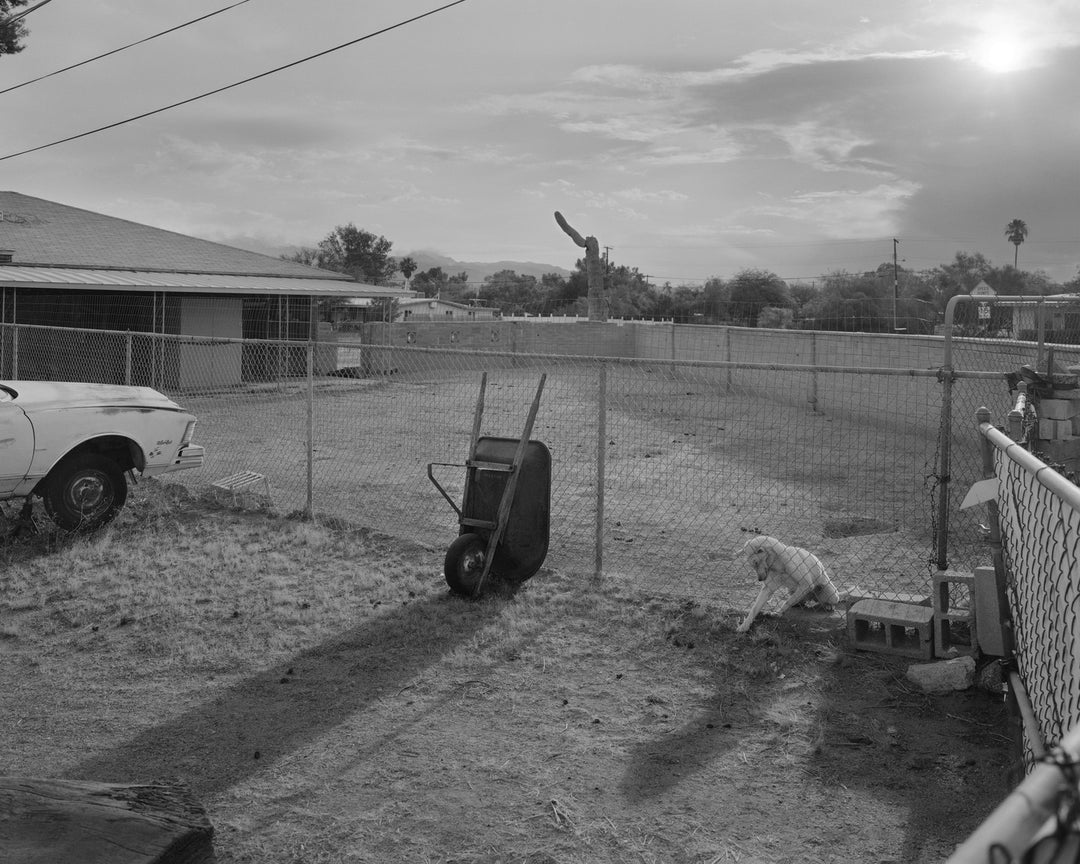 Dogbreath by Matthew Genitempo – Photobookstore