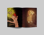 Sacred Place (signed)