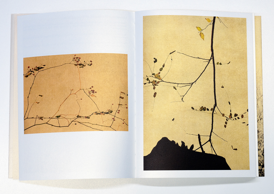 Photographic Syntax by Albarrán Cabrera – Photobookstore