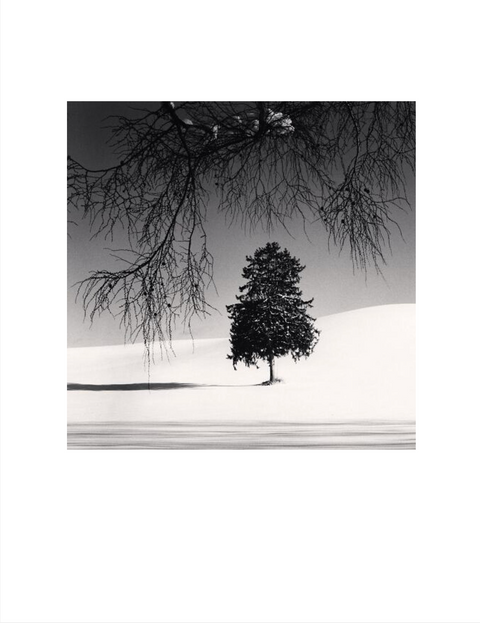 Hokkaido 2020 mini portfolio by Michael Kenna – Photobookstore Hokkaido 2020 mini portfolio by Michael Kenna – Photobookstore