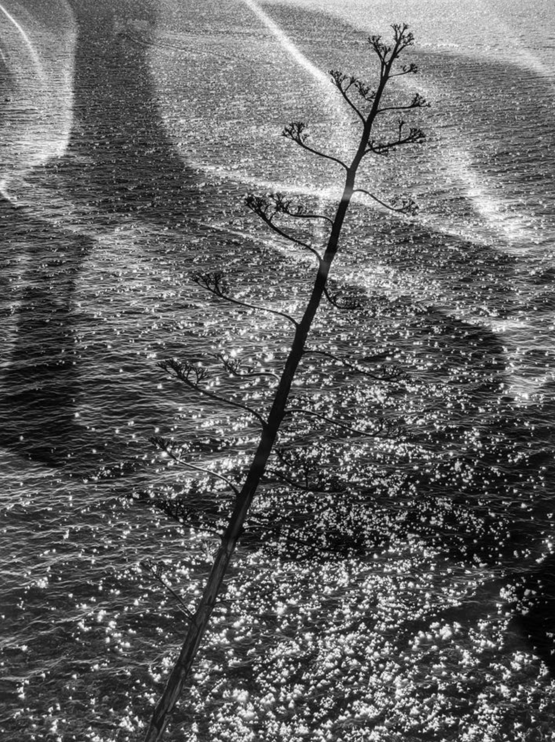 ODYSSEY Christopher Anderson / 新品未開封 Odyssey (signed) – Photobookstore
