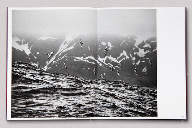 Des oiseaux (Sebastião Salgado) signed