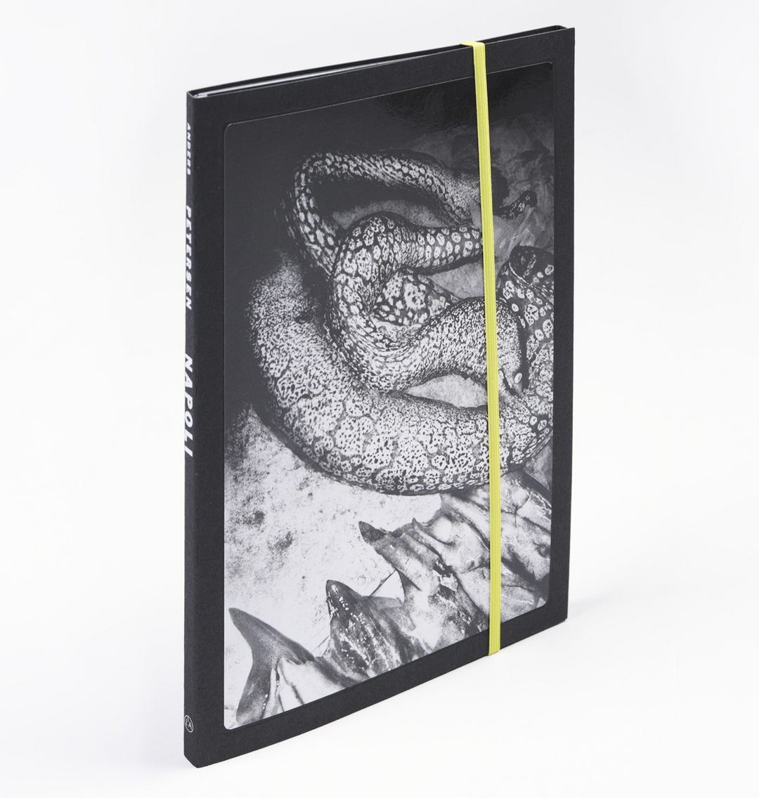 写真とは何か 写真集「What is a Photograph?」Prestel 写真とは何か 写真集「What is a Photograph?」Prestel 嶌村吉祥