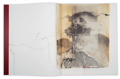 Thought Trails (signed)