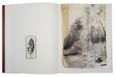 Thought Trails (signed)