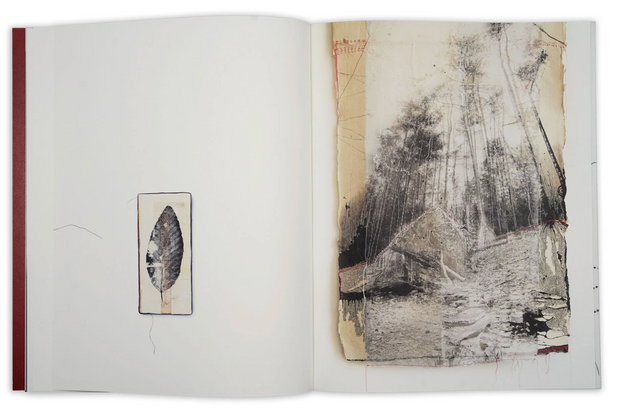 Thought Trails (signed)