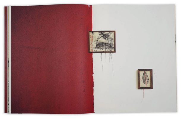 Thought Trails (signed)