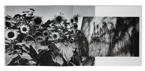 My Journey II, 1968-1989