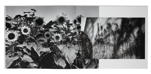 My Journey II, 1968-1989