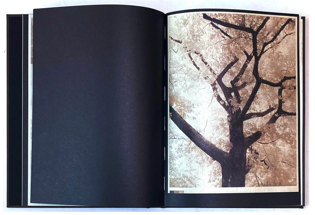 As the twig is bent, so grows the tree (signed)