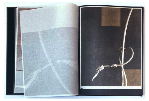 As the twig is bent, so grows the tree (signed)