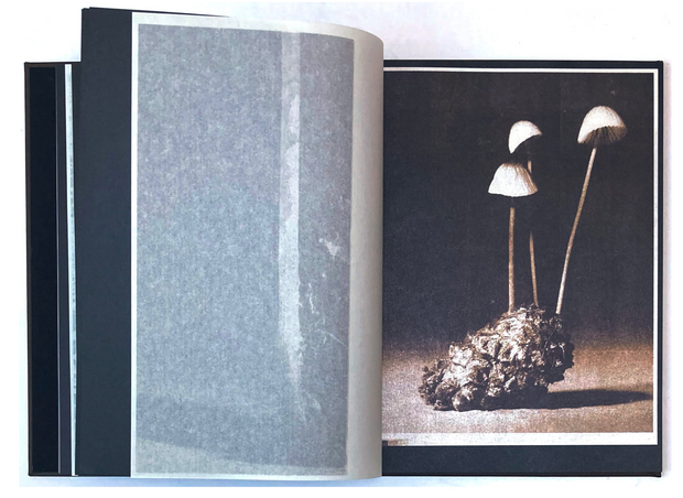 As the twig is bent, so grows the tree (signed)