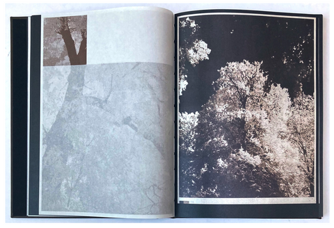 As the twig is bent, so grows the tree (signed)