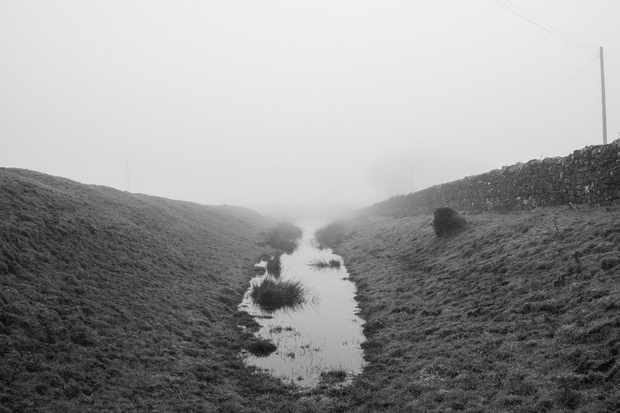 The Killing Ditch (signed)