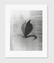 Absentee collotype portfolio