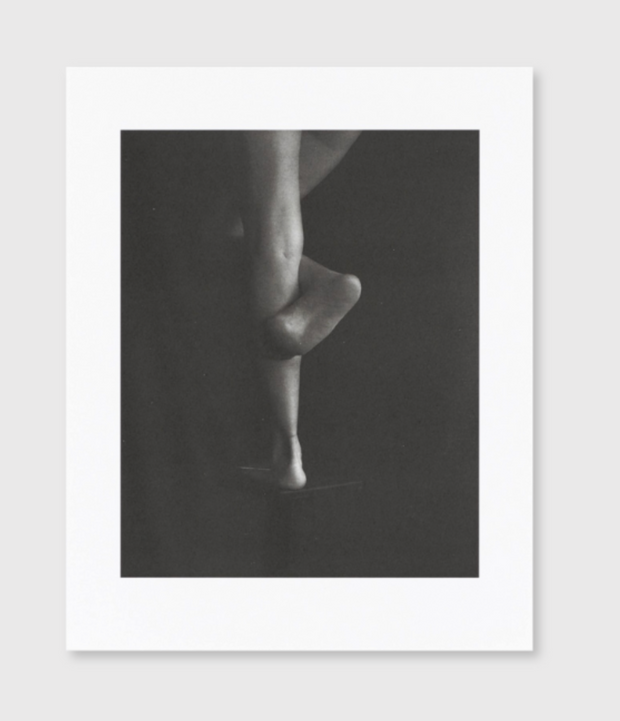 Absentee collotype portfolio