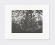 Low Tide collotype portfolio