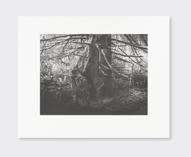 Low Tide collotype portfolio