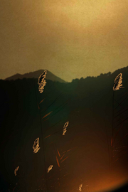 Windows to the Unexpected