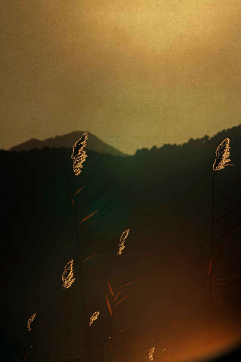 Windows to the Unexpected