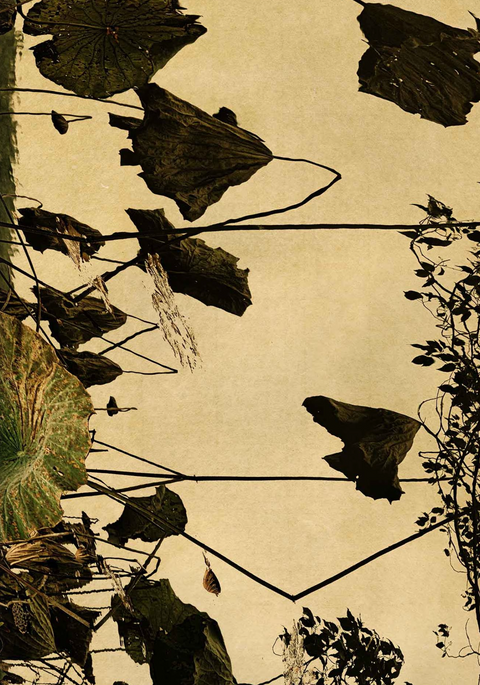 Windows to the Unexpected