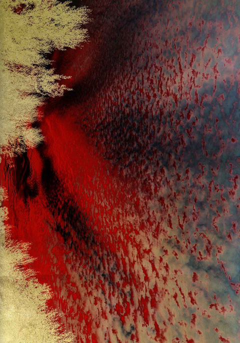 Windows to the Unexpected