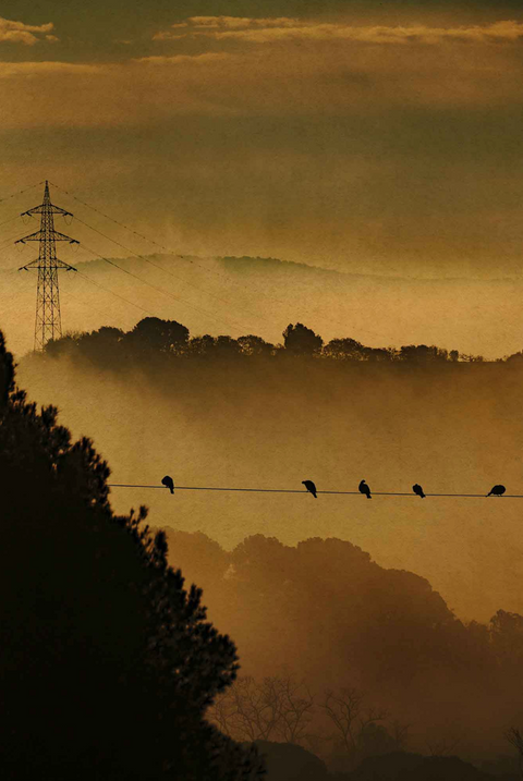 Windows to the Unexpected