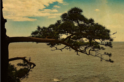 Windows to the Unexpected