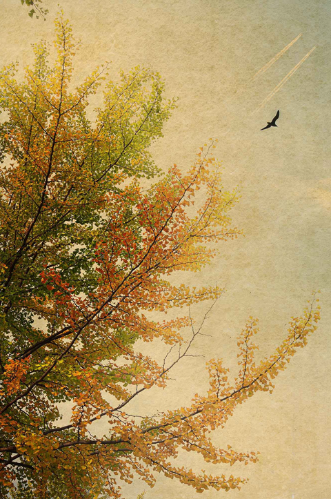 Windows to the Unexpected