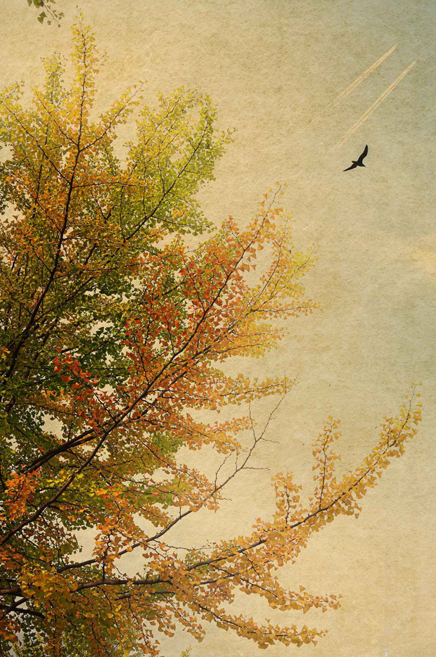 Windows to the Unexpected