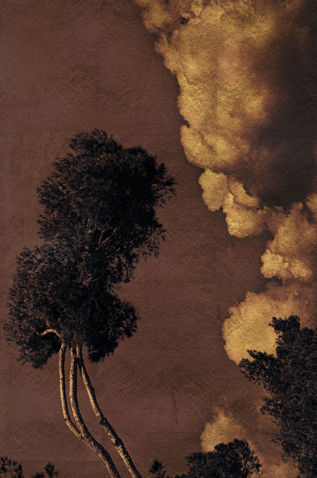 Windows to the Unexpected