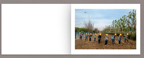 Mother's Land (signed)