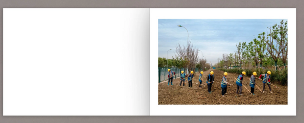 Mother's Land (signed)