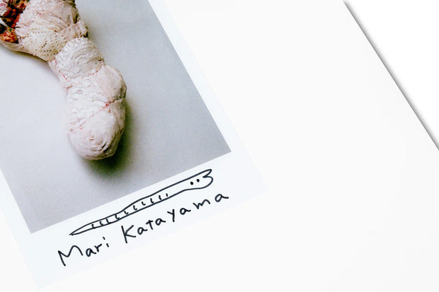 Synthesis (signed plate edition)