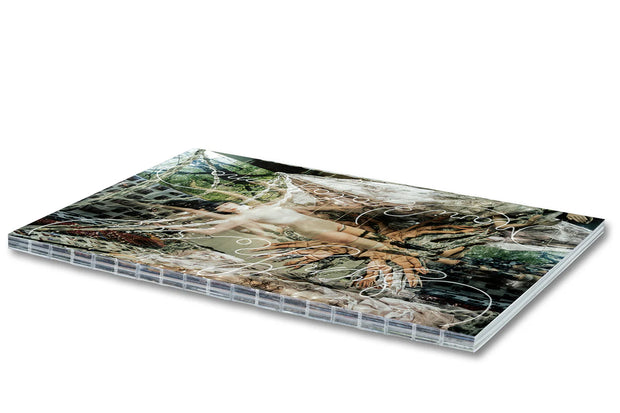 Synthesis (signed plate edition)