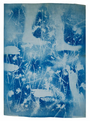 The Blueprints, 1950