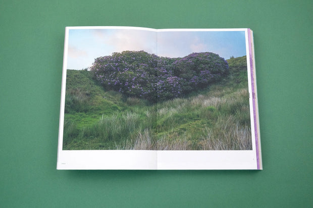 With Love. From an Invader. – Rhododendrons, Empire, China and Me