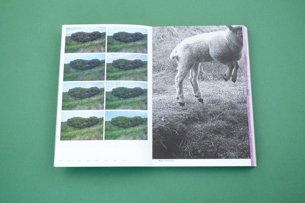 With Love. From an Invader. – Rhododendrons, Empire, China and Me