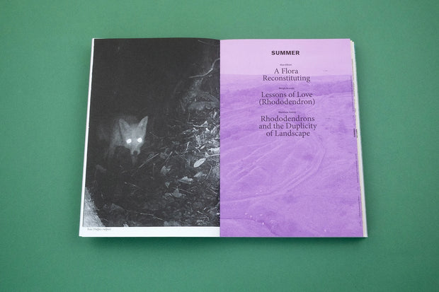 With Love. From an Invader. – Rhododendrons, Empire, China and Me