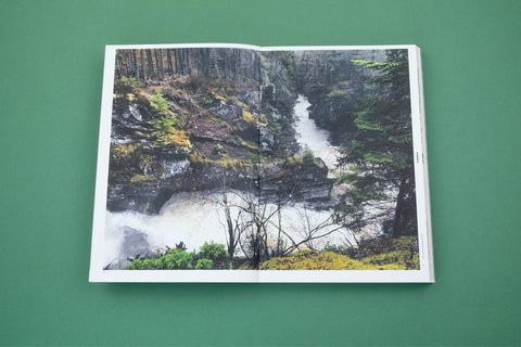 With Love. From an Invader. – Rhododendrons, Empire, China and Me