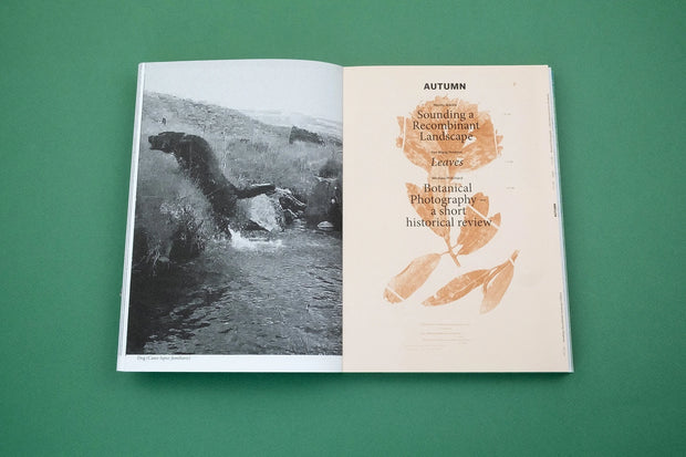 With Love. From an Invader. – Rhododendrons, Empire, China and Me