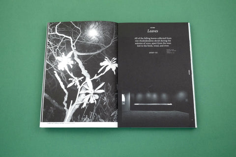 With Love. From an Invader. – Rhododendrons, Empire, China and Me